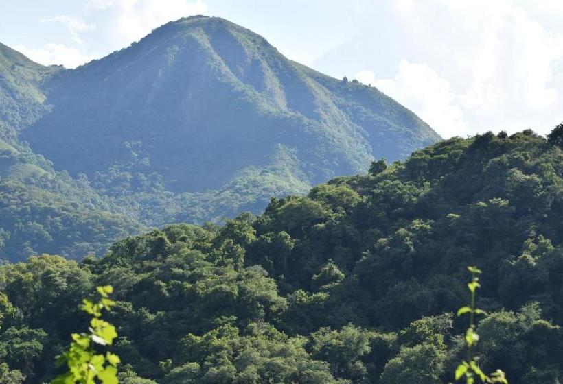 Общежитие Hostal San Pablo