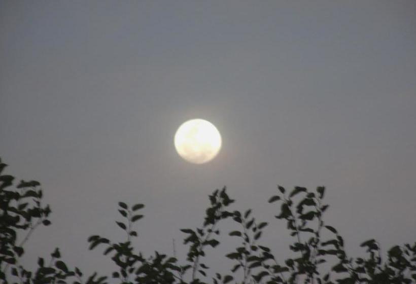 Общежитие Hostal San Pablo