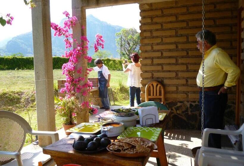 هاستل Villa Los Agaves   Hospedería