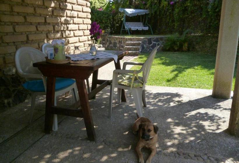 هاستل Villa Los Agaves   Hospedería