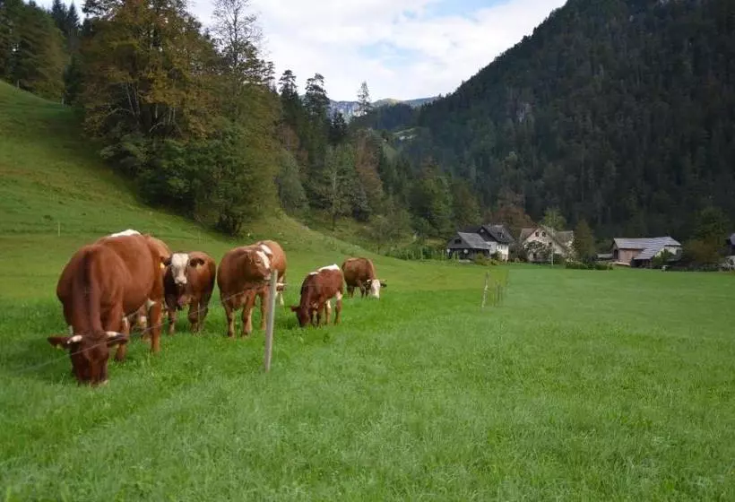 هتل The Farmhouse Bevsek Osep