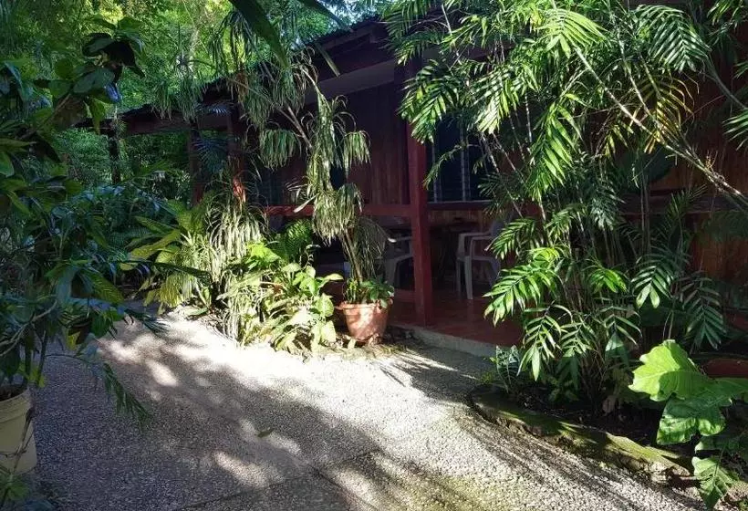 پانسیون Guest House Posada Ixchel