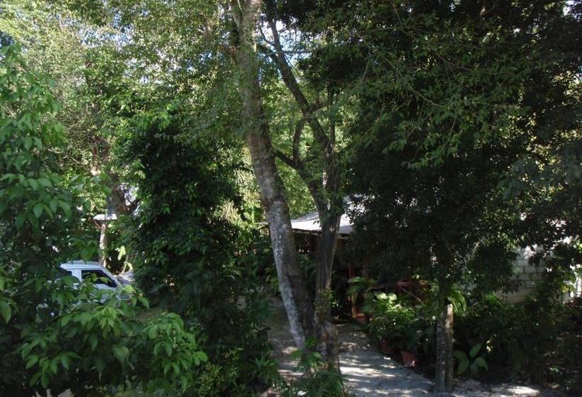 پانسیون Guest House Posada Ixchel