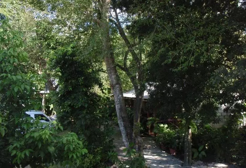 پانسیون Guest House Posada Ixchel