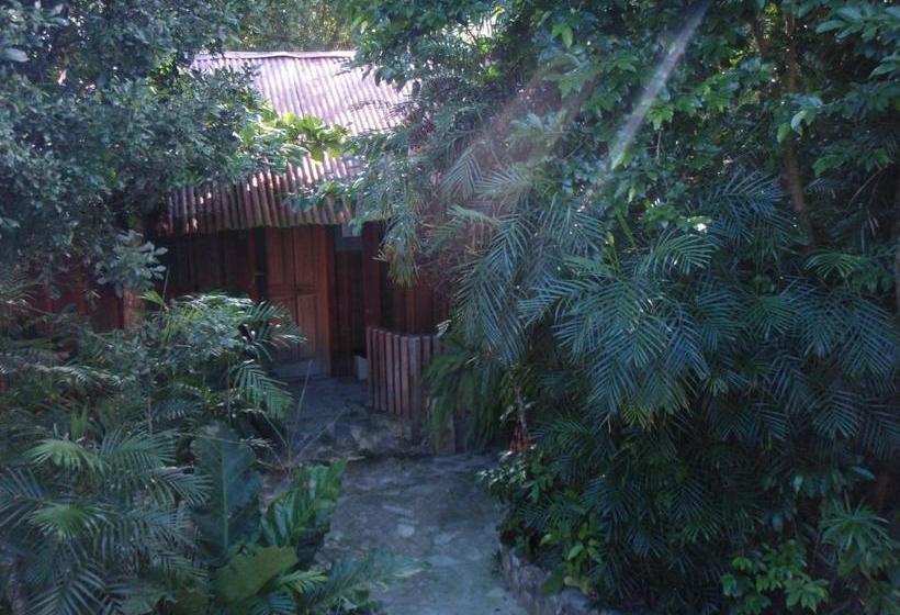 پانسیون Guest House Posada Ixchel