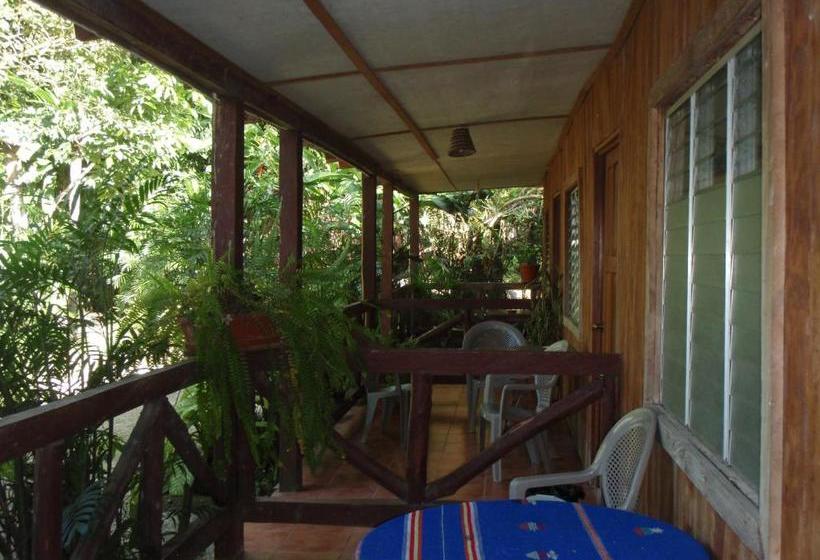 پانسیون Guest House Posada Ixchel