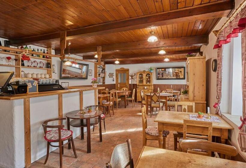 펜션 Pod Svatou Annou Penzion A řízkovna