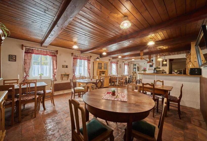 펜션 Pod Svatou Annou Penzion A řízkovna