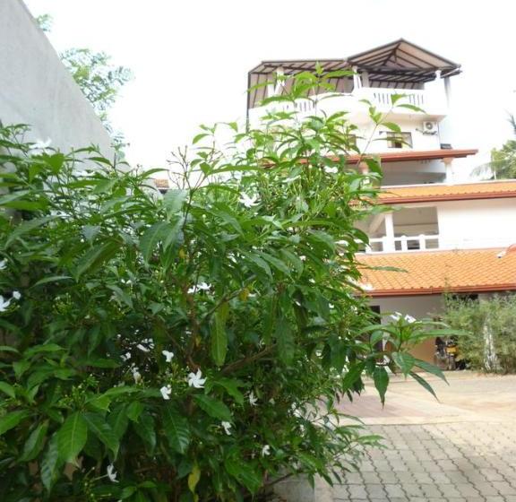 펜션 Resort Deepika Mirissa