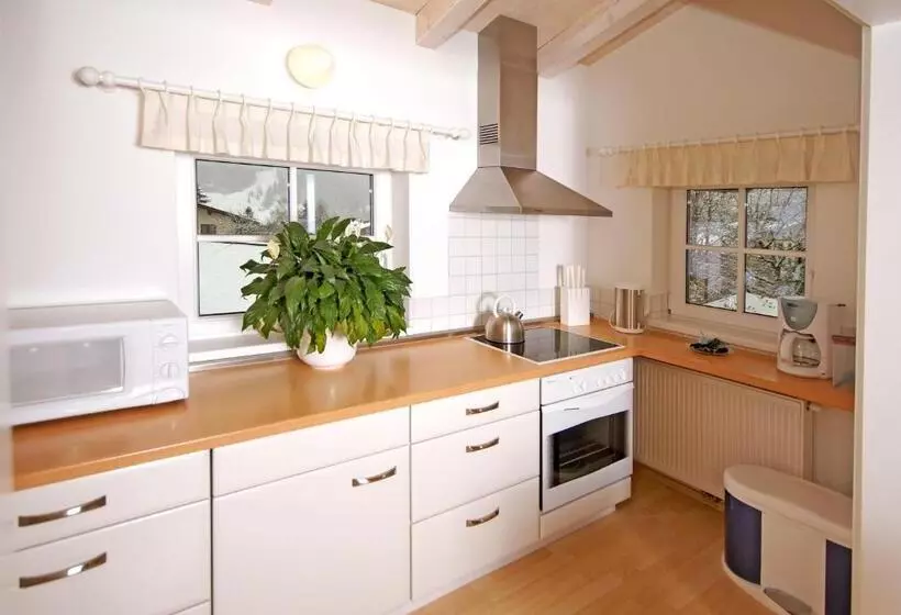 Apartments Blaickner