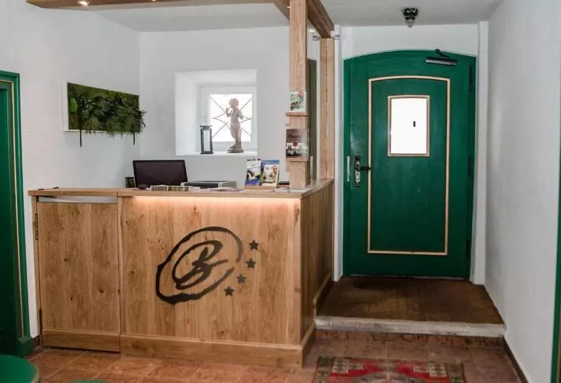 Apartments Blaickner