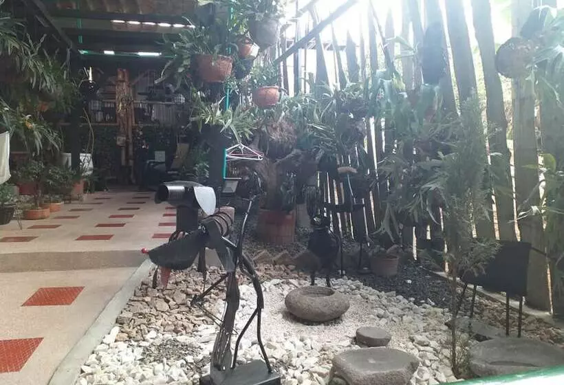Hostel Camelot Salento
