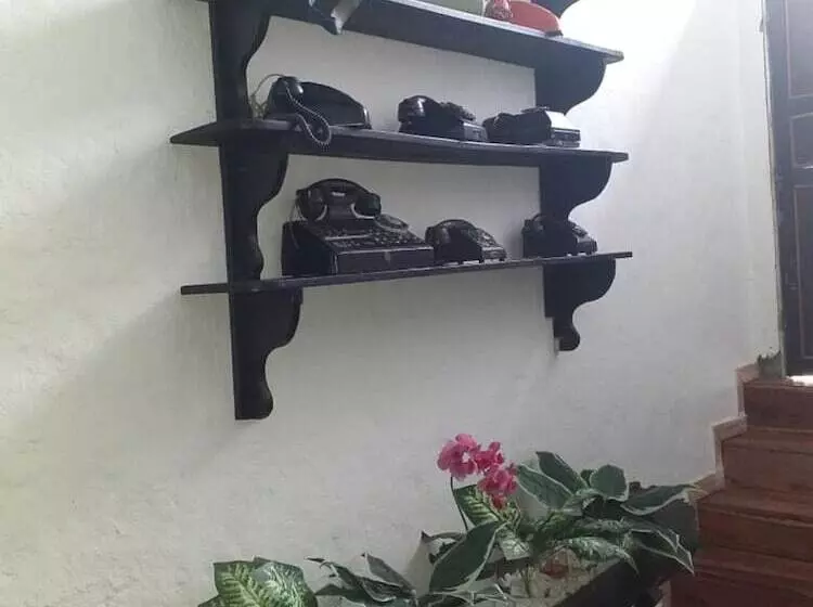 Hostel Camelot Salento
