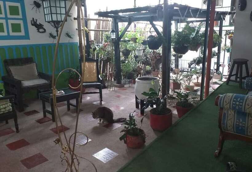 Hostel Camelot Salento