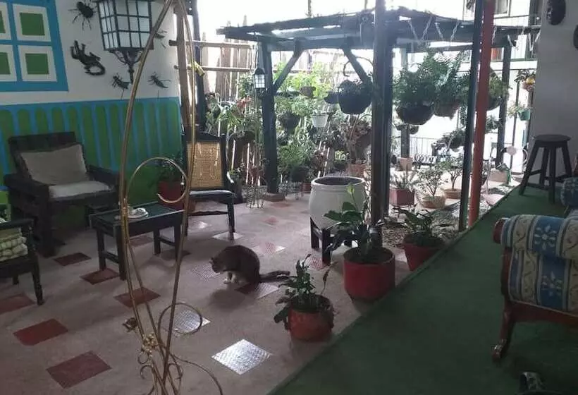 Hostel Camelot Salento