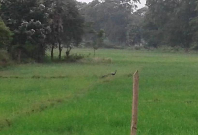 ペンション Family Inn