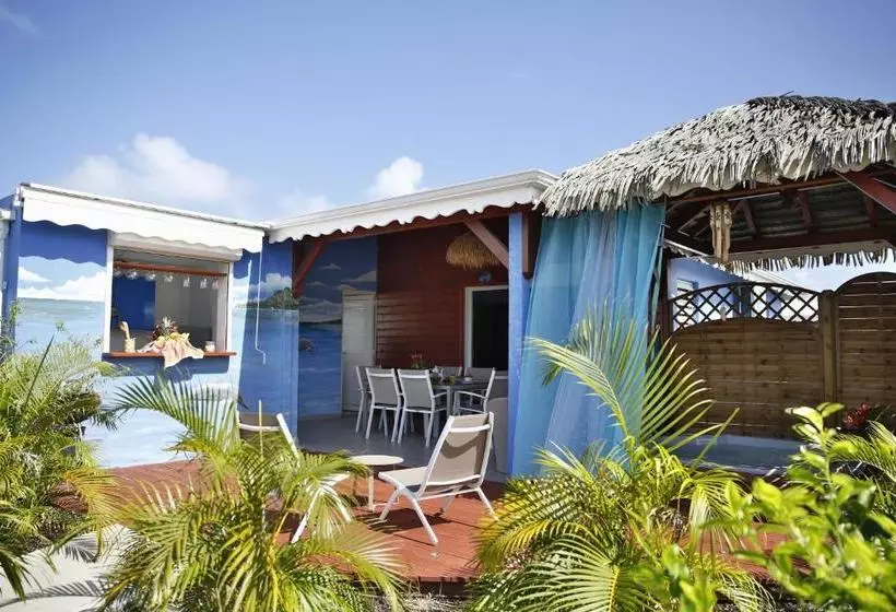 پانسیون La Palmeraie Dorée