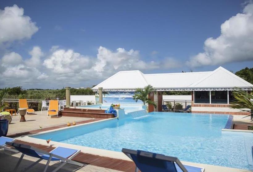 ペンション La Palmeraie Dorée