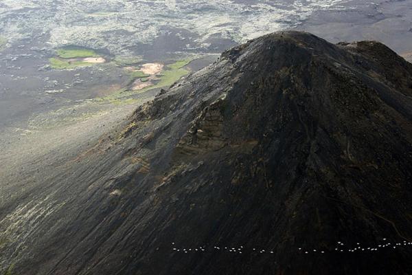 پانسیون Mar Guesthouse