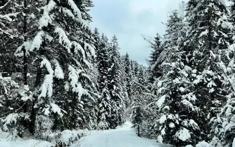 Majatalo Private House Scherbovets