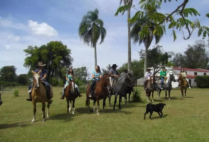 ホテル Estancia El Rosario