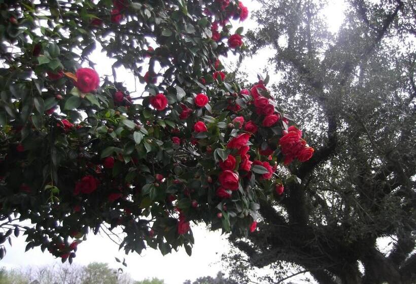 Hotel Estancia El Rosario