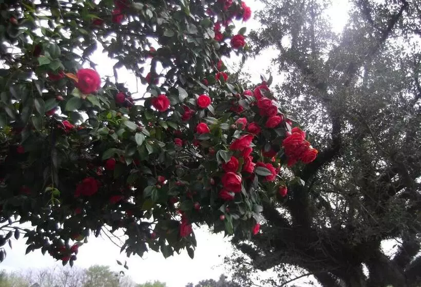ホテル Estancia El Rosario