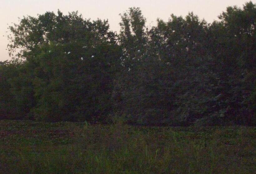 Hotel Estancia El Rosario