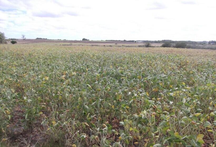 Hotel Estancia El Rosario