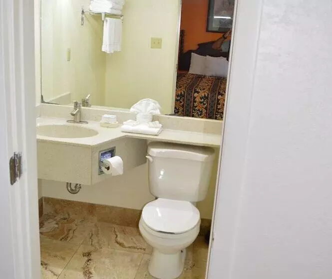 モーテル Budget Inn   Ft Myers