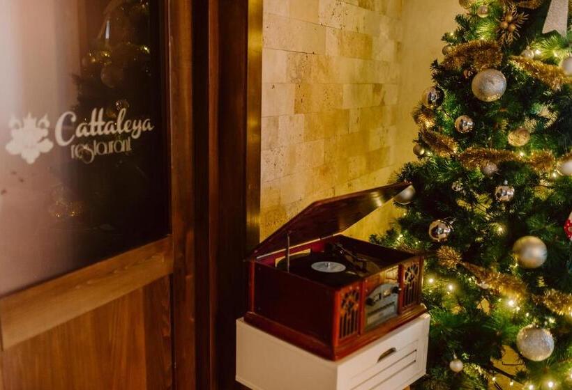 פנסיון Boutique Hotel Cattaleya