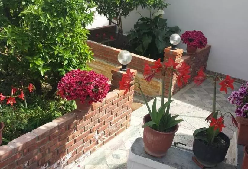 پانسیون Guesthouse Arben Elezi