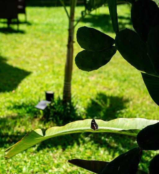 膳宿费 Koh Samui Resort & Restaurant   Villa Giacomelli