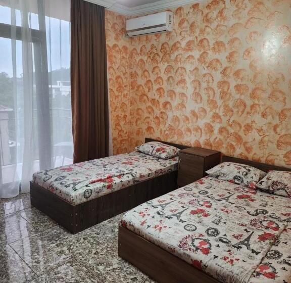 پانسیون Vizitori