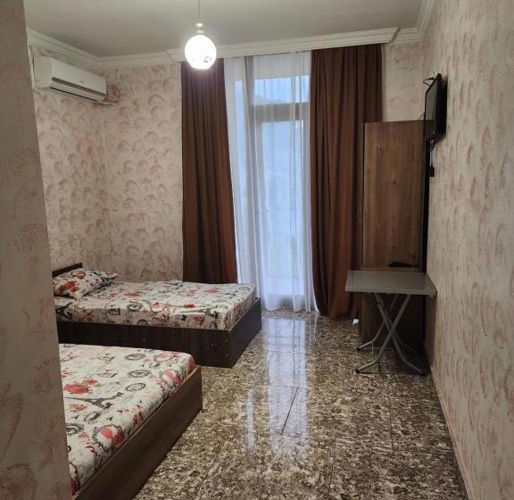 پانسیون Vizitori