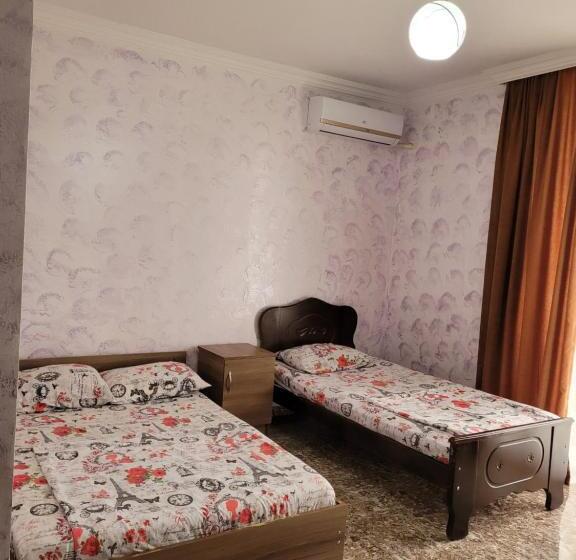 پانسیون Vizitori