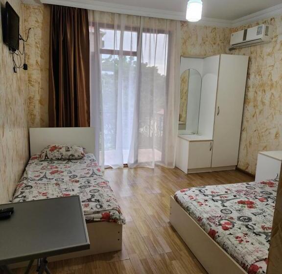 پانسیون Vizitori