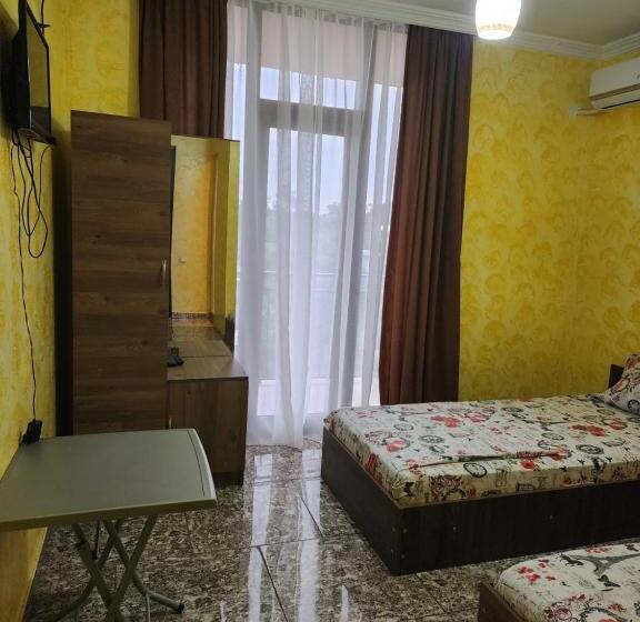 پانسیون Vizitori