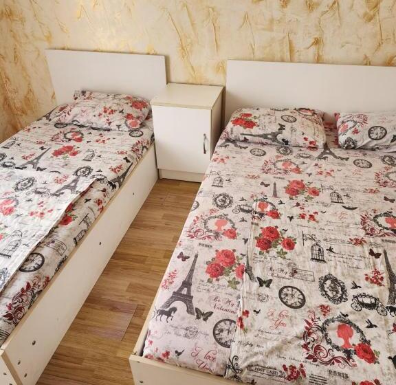 پانسیون Vizitori