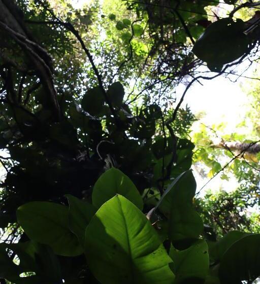 Общежитие Solar Maria Carolina