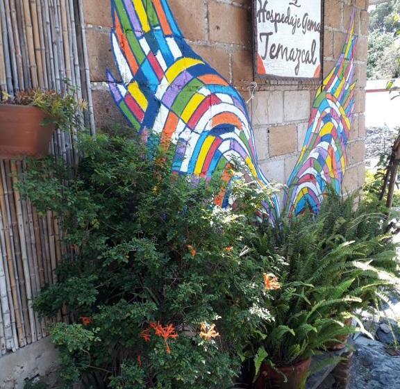 Hostel Temazcal Casa Gema