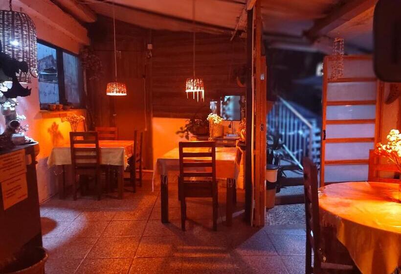 Hostel Temazcal Casa Gema