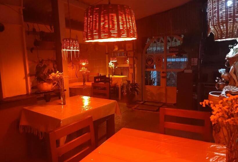 Hostel Temazcal Casa Gema