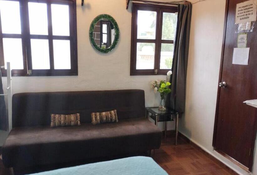 Hostel Temazcal Casa Gema