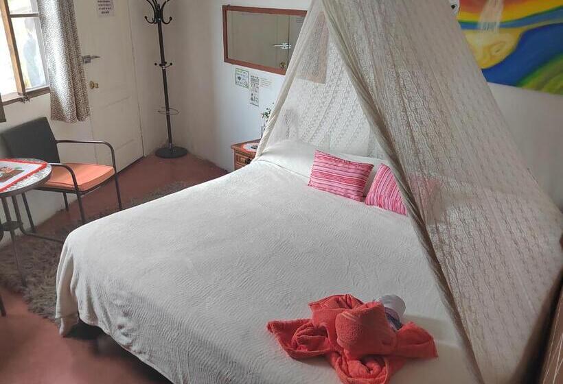 Hostel Temazcal Casa Gema