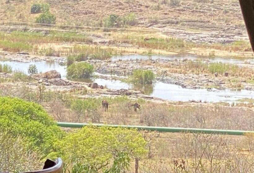 פנסיון Croc River Lodge