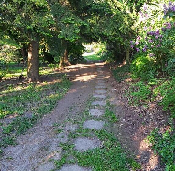 Pensjonat Varázsfa Vendégház