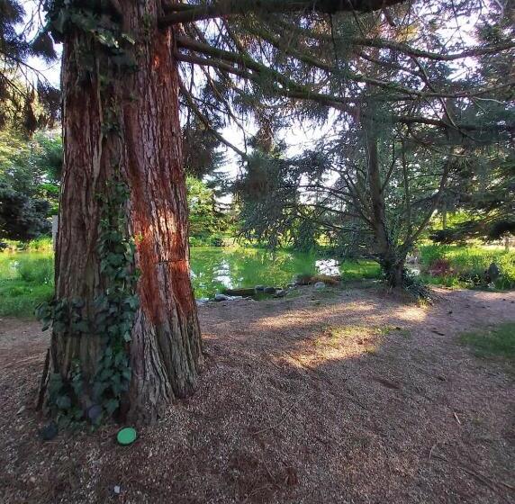 Pensjonat Varázsfa Vendégház