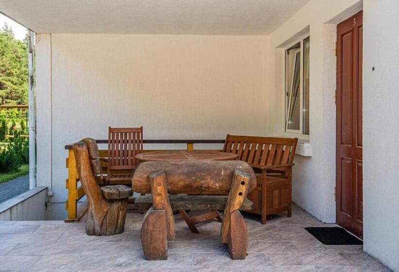 پانسیون Viski Vila