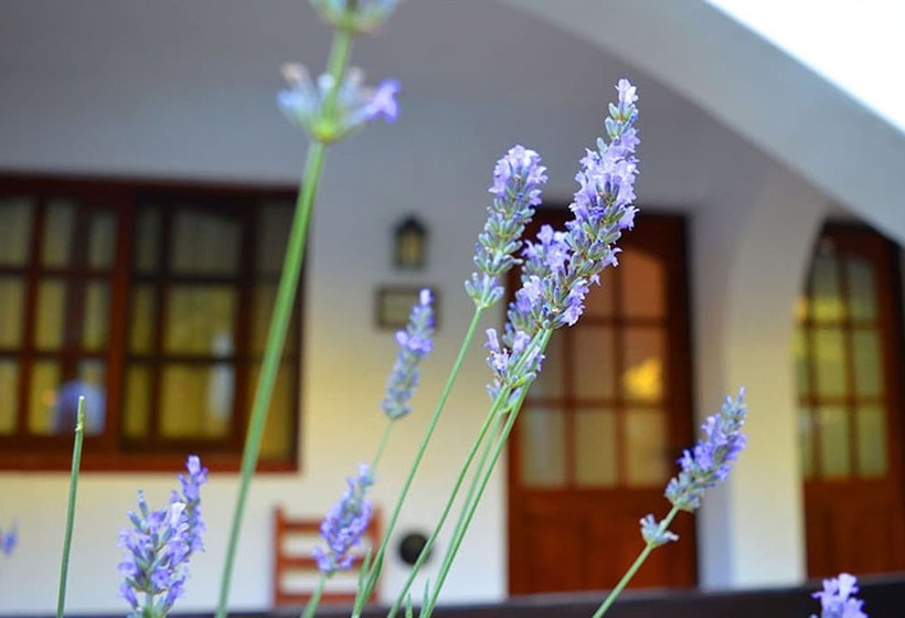 فندق صغير Posada San Bras